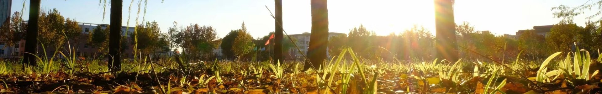 加拿大卡普顿大学 Cape Bret