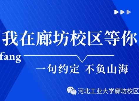花海音乐节